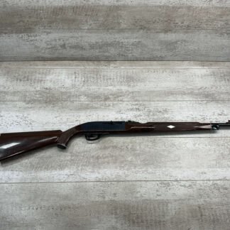 REMINGTON NYLON 66 .22LR SEMI AUTO RIFLE #4-09203-DV