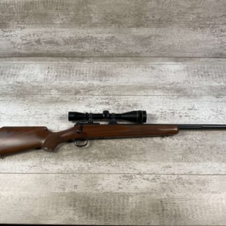 KIMBER (HUNTER SILHOUETTE) MODEL 22LR, MINTY #5-09512