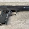 HUSQVARNA 1907 .380 CAL SEMI AUTO PISTOL, JAMES EARL JONES COLLECTION #5-10796