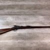 US SPRINGFIELD MODEL 1884 .45-70 TRAPDOOR LONG RIFLE, JAMES EARL JONES COLLECTION #5-11004