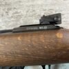 CHIAPPA M1-22 CARBINE 22LR SEMI AUTO RIFLE, JAMES EARL JONES COLLECTION, LIKE NEW #5-11007