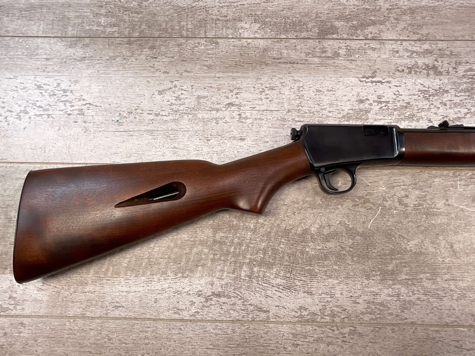 TAURUS MODEL 63 .22LR SEMI AUTO RIFLE, JAMES EARL JONES