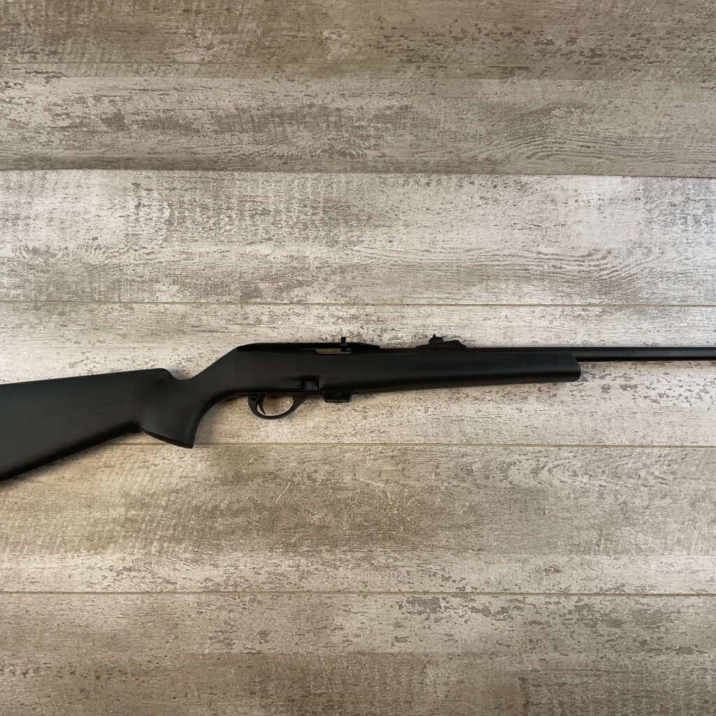 REMINGTON MODEL 597 .22LR SEMI AUTO RIFLE, JAMES EARL JONES "FAVORITES" COLLECTION #5-11062