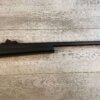 REMINGTON MODEL 597 .22LR SEMI AUTO RIFLE, JAMES EARL JONES "FAVORITES" COLLECTION #5-11062