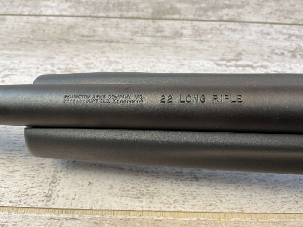 REMINGTON MODEL 597 .22LR SEMI AUTO RIFLE, JAMES EARL JONES "FAVORITES" COLLECTION #5-11062