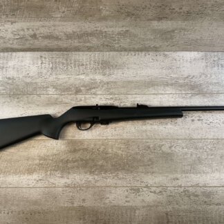 REMINGTON MODEL 597 .22LR SEMI AUTO RIFLE, JAMES EARL JONES "FAVORITES" COLLECTION #5-11069