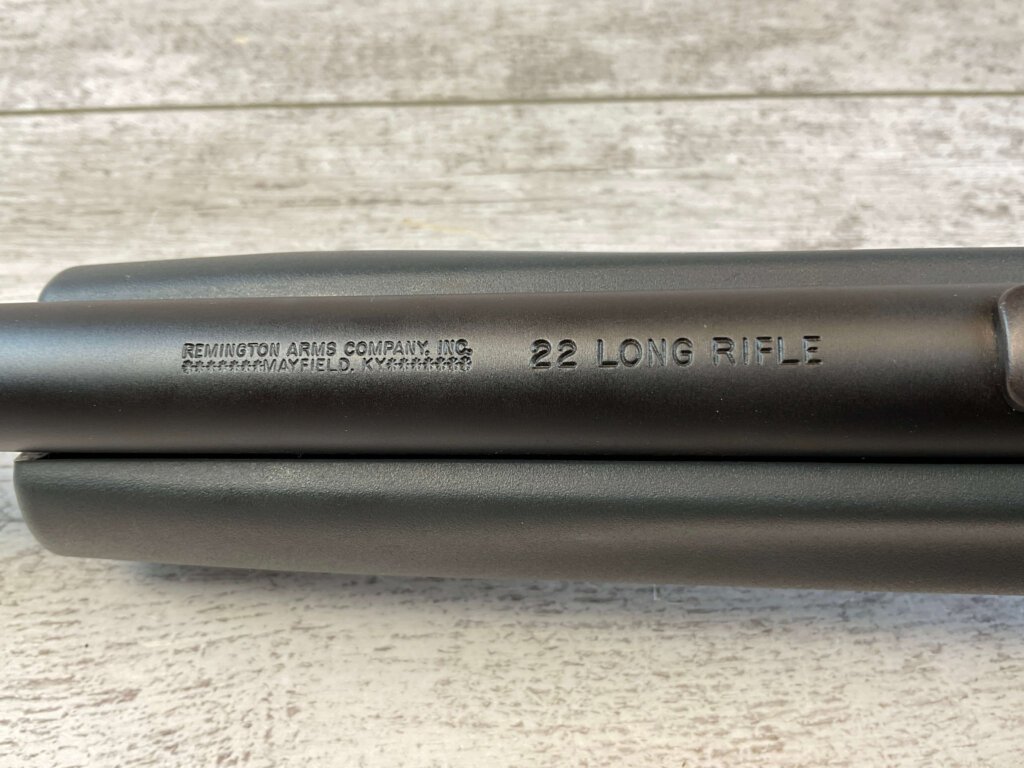 REMINGTON MODEL 597 .22LR SEMI AUTO RIFLE, JAMES EARL JONES "FAVORITES" COLLECTION #5-11069