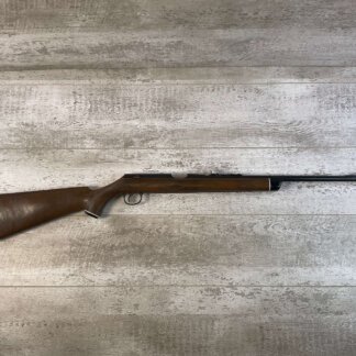 DAISY & HEDDON VL .22 CAL CASELESS PUMP RIFLE W/AMMO, JAMES EARL JONES "FAVORITES" COLLECTION, RARE #5-11081