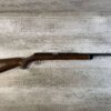 DAISY & HEDDON VL .22 CAL CASELESS PUMP RIFLE W/AMMO, JAMES EARL JONES "FAVORITES" COLLECTION, RARE #5-11081