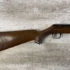 DAISY & HEDDON VL .22 CAL CASELESS PUMP RIFLE W/AMMO, JAMES EARL JONES "FAVORITES" COLLECTION, RARE #5-11081