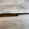 DAISY & HEDDON VL .22 CAL CASELESS PUMP RIFLE W/AMMO, JAMES EARL JONES "FAVORITES" COLLECTION, RARE #5-11081