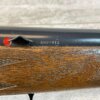 DAISY & HEDDON VL .22 CAL CASELESS PUMP RIFLE W/AMMO, JAMES EARL JONES "FAVORITES" COLLECTION, RARE #5-11081