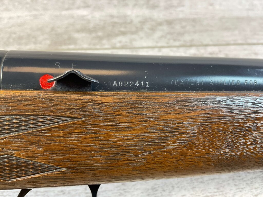 DAISY & HEDDON VL .22 CAL CASELESS PUMP RIFLE W/AMMO, JAMES EARL JONES "FAVORITES" COLLECTION, RARE #5-11081