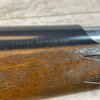 DAISY & HEDDON VL .22 CAL CASELESS PUMP RIFLE W/AMMO, JAMES EARL JONES "FAVORITES" COLLECTION, RARE #5-11081