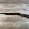 DAISY & HEDDON VL .22 CAL CASELESS PUMP RIFLE W/AMMO, JAMES EARL JONES "FAVORITES" COLLECTION, RARE #5-11081