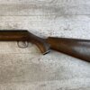 DAISY & HEDDON VL .22 CAL CASELESS PUMP RIFLE W/AMMO, JAMES EARL JONES "FAVORITES" COLLECTION, RARE #5-11081