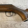 DAISY & HEDDON VL .22 CAL CASELESS PUMP RIFLE W/AMMO, JAMES EARL JONES "FAVORITES" COLLECTION, RARE #5-11081
