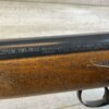 DAISY & HEDDON VL .22 CAL CASELESS PUMP RIFLE W/AMMO, JAMES EARL JONES "FAVORITES" COLLECTION, RARE #5-11081