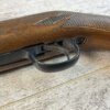 DAISY & HEDDON VL .22 CAL CASELESS PUMP RIFLE W/AMMO, JAMES EARL JONES "FAVORITES" COLLECTION, RARE #5-11081