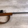 HARRINGTON & RICHARDSON 1871 H&R MODEL 700 22WMRF SEMI AUTO RIFLE #6-05014-PF
