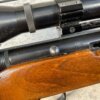 HARRINGTON & RICHARDSON 1871 H&R MODEL 700 22WMRF SEMI AUTO RIFLE #6-05014-PF