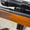 HARRINGTON & RICHARDSON 1871 H&R MODEL 700 22WMRF SEMI AUTO RIFLE #6-05014-PF