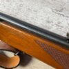 HARRINGTON & RICHARDSON 1871 H&R MODEL 700 22WMRF SEMI AUTO RIFLE #6-05014-PF