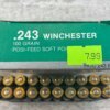 HANSEN CARTRIDGE CO. 243 WIN., 100 GR. POSI-FEED SP AMMO, FULL BOX, JAMES EARL JONES COLLECTION #5-11157-PF