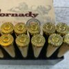 HORNADY DANGEROUS GAME SERIES 458 LOTT, 500 GR. DGS AMMO, FULL BOX, JAMES EARL JONES COLLECTION #5-11270-PF