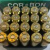 COR-BON HUNTER 458 SOCOM, 300 GR. JHP AMMO, FULL BOX, JAMES EARL JONES COLLECTION #5-11271-PF